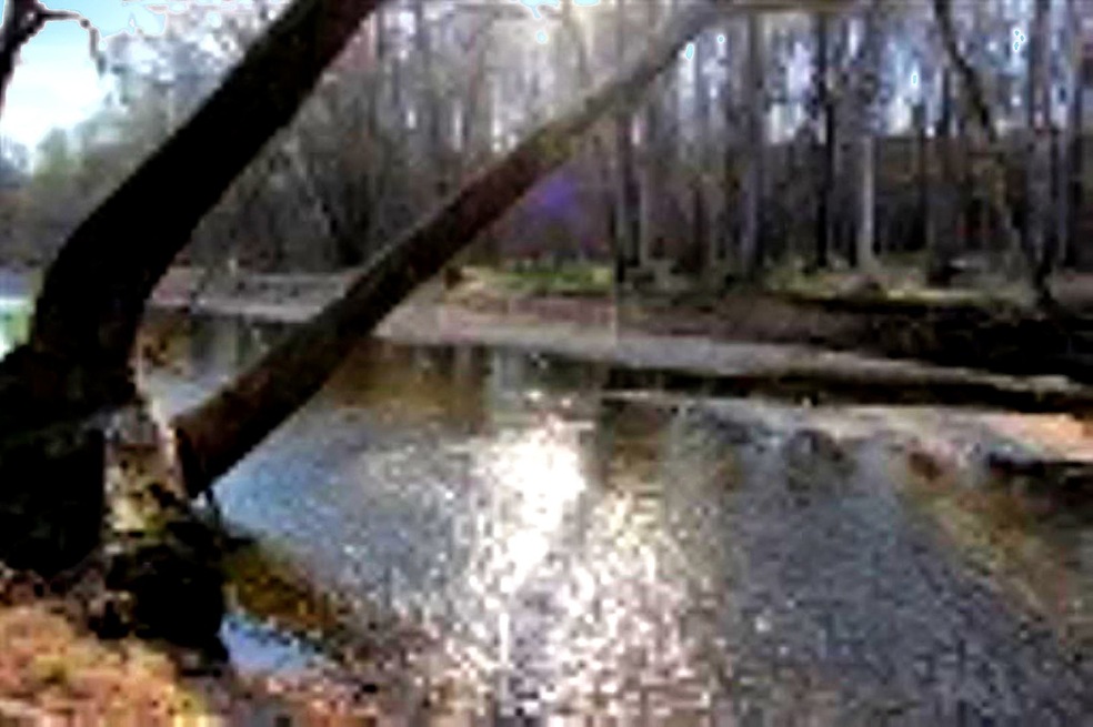 144 Hurricane Creek Dr, Tennessee Ridge, TN 37178 - photo 1