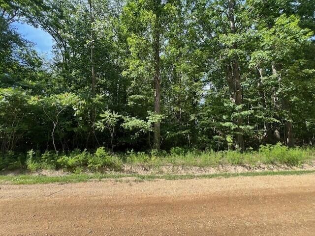 V/L National Pkwy unit 25, Chikaming Township, MI 49129 - photo 1