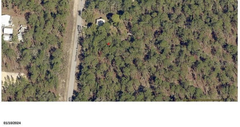 TBD SW Buena Vista Rd, Dunnellon, FL 34431 - photo 1
