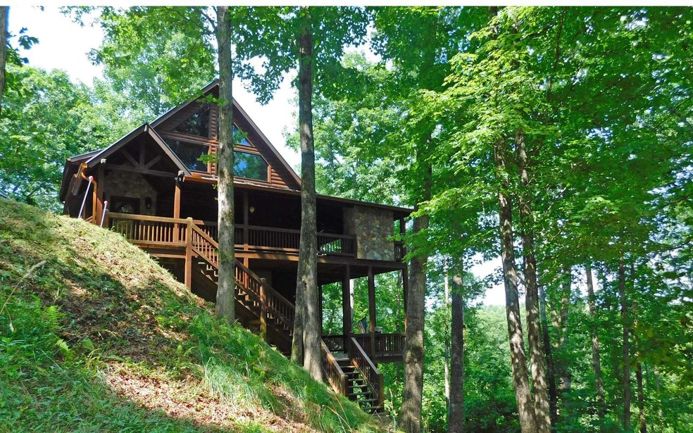 670 Toccoa Preserve Ln, Blue Ridge, GA 30513 - photo 1