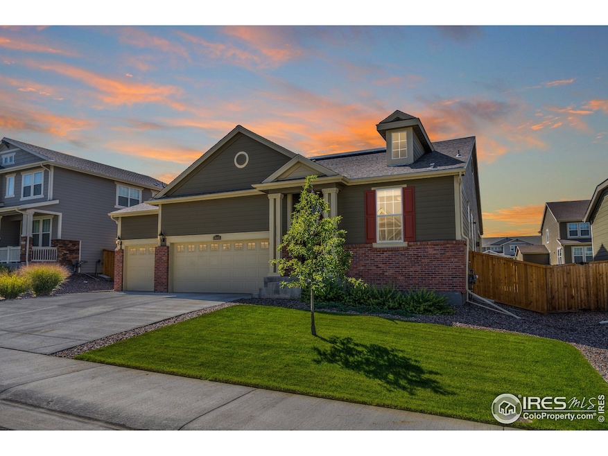 14165 Grape St, Thornton, CO 80602 - photo 1