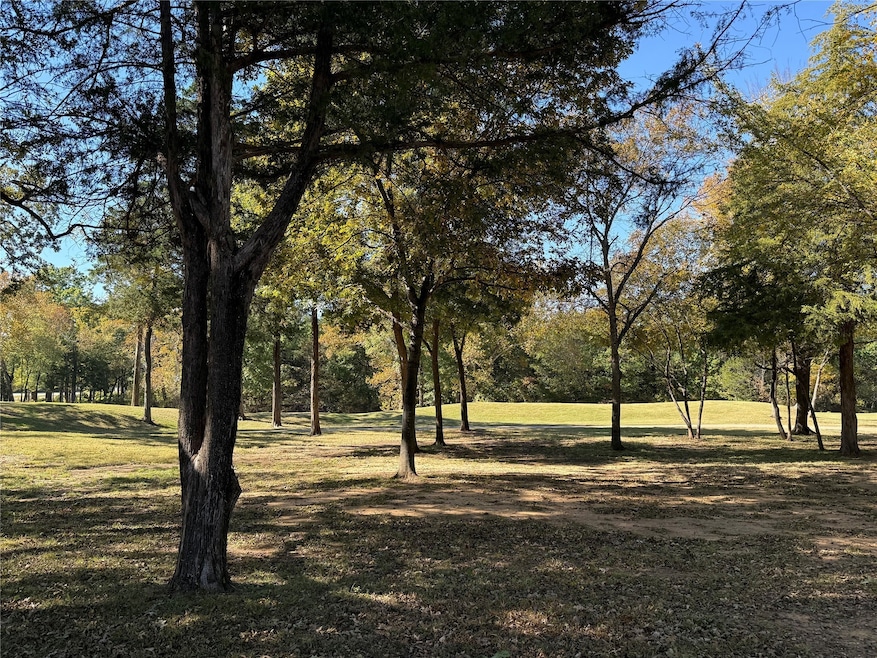 230 Club House Rd, Gordonville, TX 76245 - photo 1