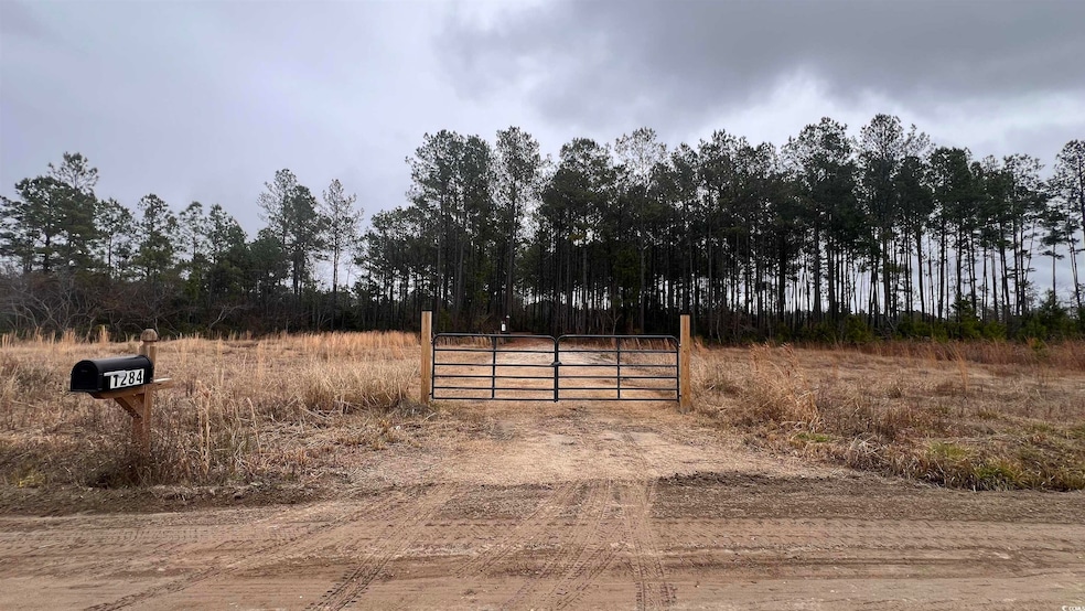 1284 Cheyenne Rd unit Lot 1, Conway, SC 29526 - photo 1