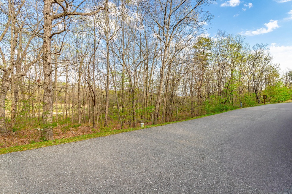 0 Old Rocky Trail unit RTC2866646, Rising Fawn, GA 30738 - photo 1