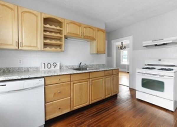 109 Sanborn Ave unit 1, West Roxbury, MA 02132 - photo 1