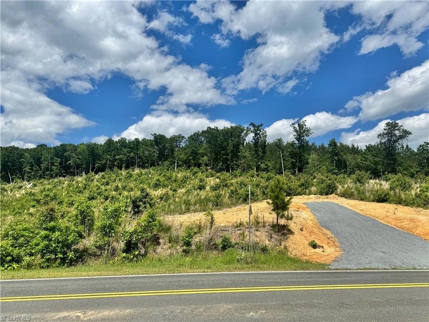 Tract 2 Browers Chapel Rd, Asheboro, NC 27205 - photo 1