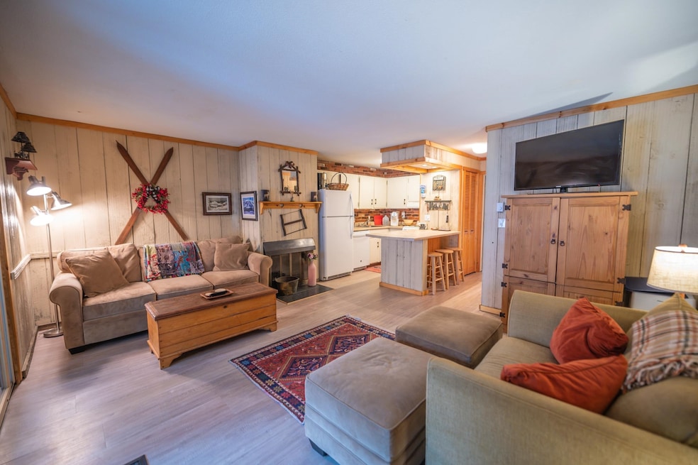 3 Fox Meadow Ln unit 3F, Dover, VT 05356 - photo 1