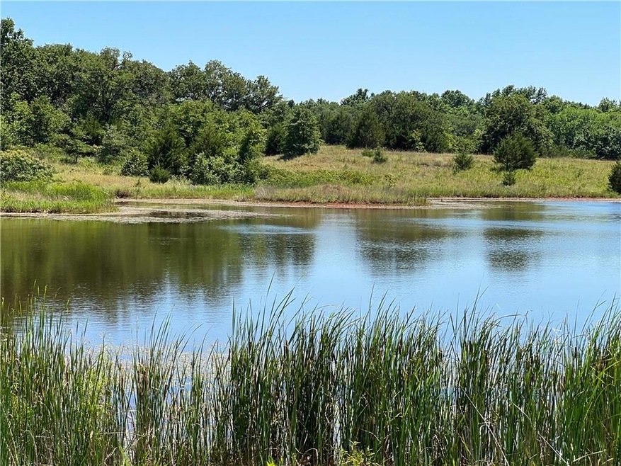 Pond #1