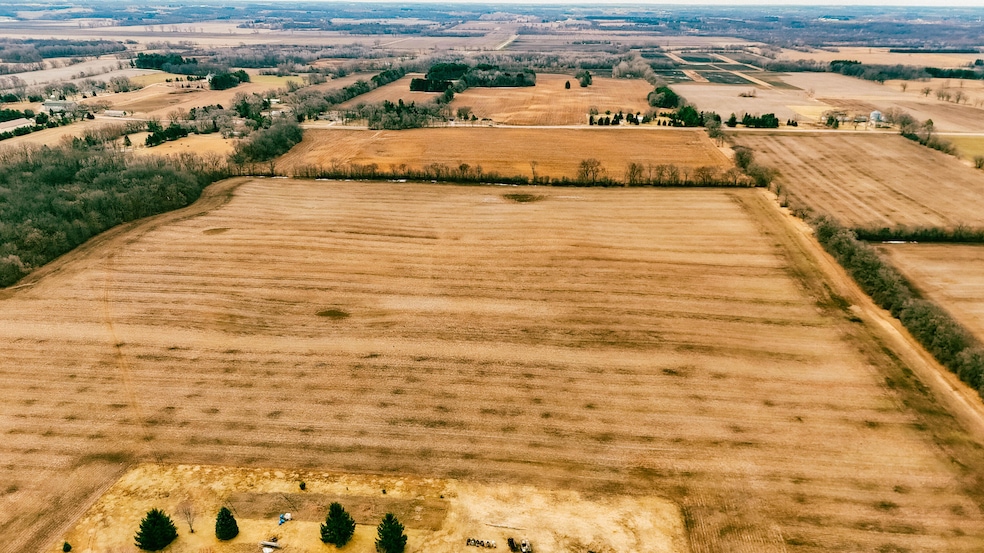 DJI_20250318093506_0107_D (1)