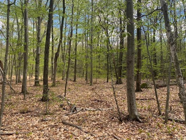 00 2nd Nh Turnpike N, Francestown, NH 03043 - photo 1