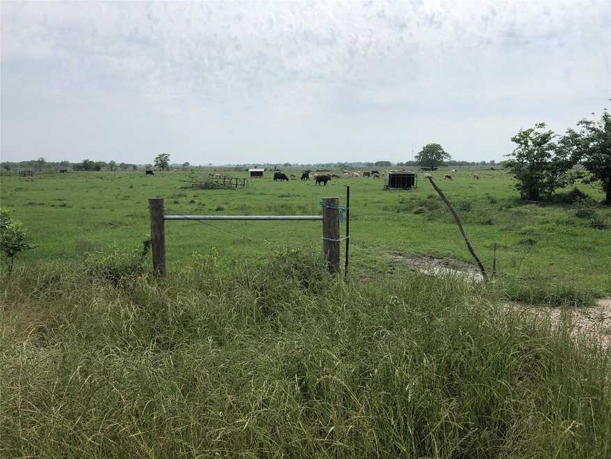 1901 Daily Rd, Rosenberg, TX 77471 - photo 1