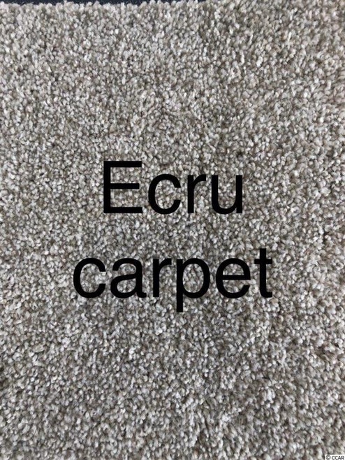 3148 Gause Rd unit Willow Lt 5, Loris, SC 29569 - photo 1