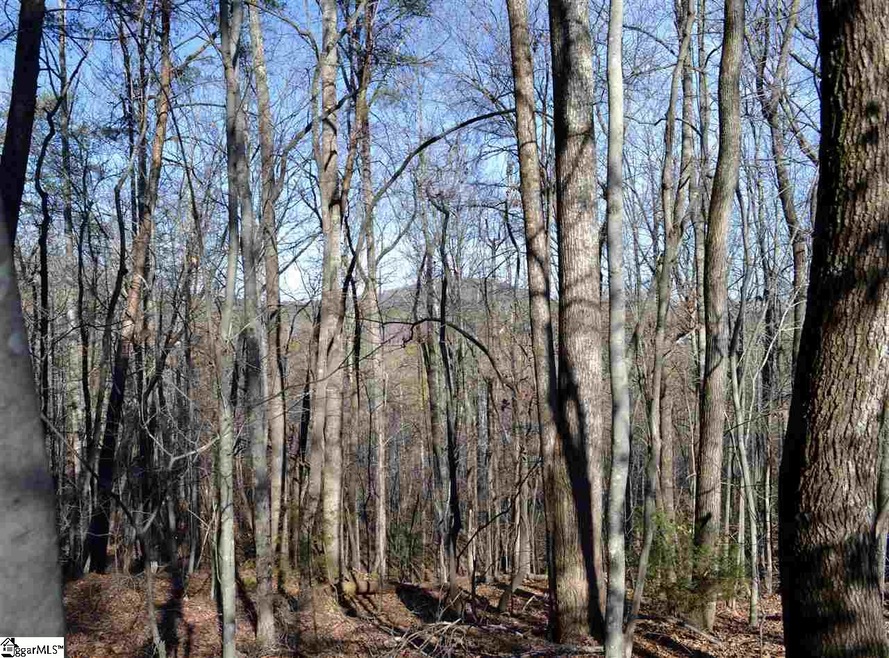 With a little clearing, this view will be absolute