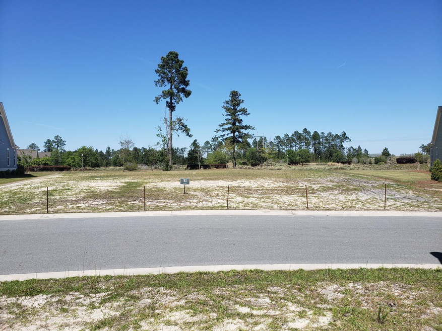 1334 Cross Water Cir, Leland, NC 28451 - photo 1