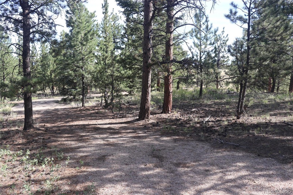 0 Singletree Rd, Buena Vista, CO 81211 | MLS# REC8721248