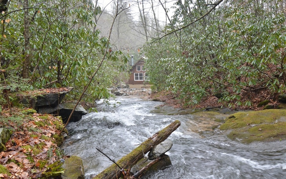 7717 Doublehead Gap Rd, Blue Ridge, GA 30513 - photo 1