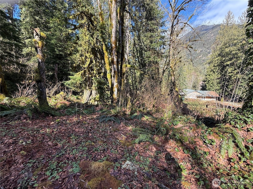 0 High Ridge Dr unit NWM2348116, Marblemount, WA 98267 - photo 1