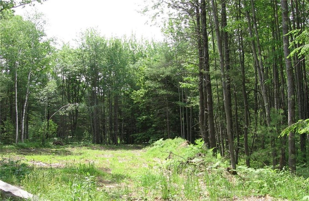 Picture your home here on Lot 4