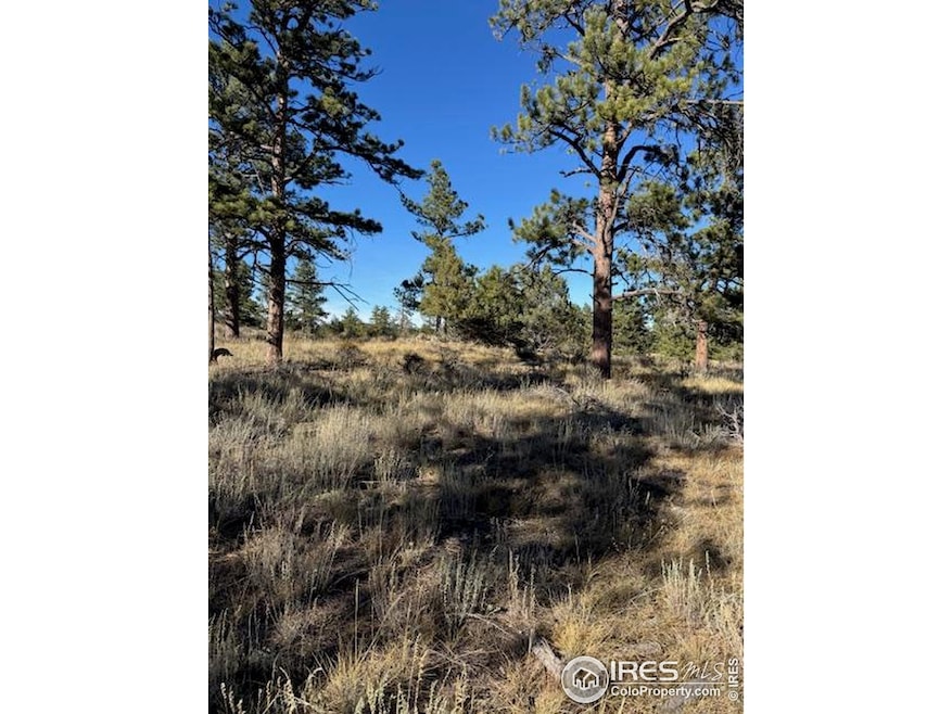 2225 Montcalm Dr, Livermore, CO 80536 - photo 1