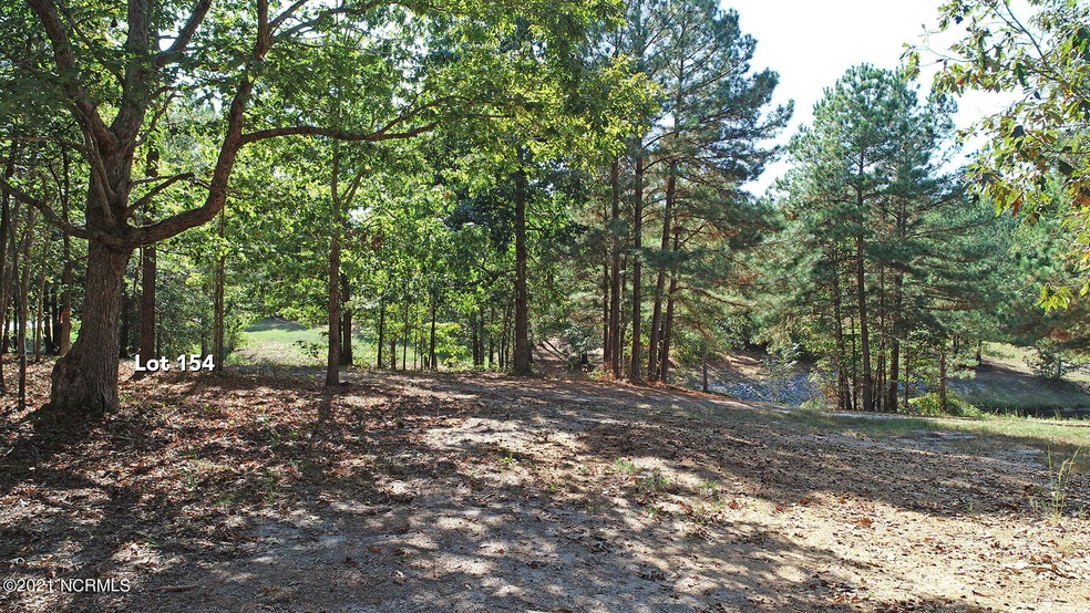 Lot 154