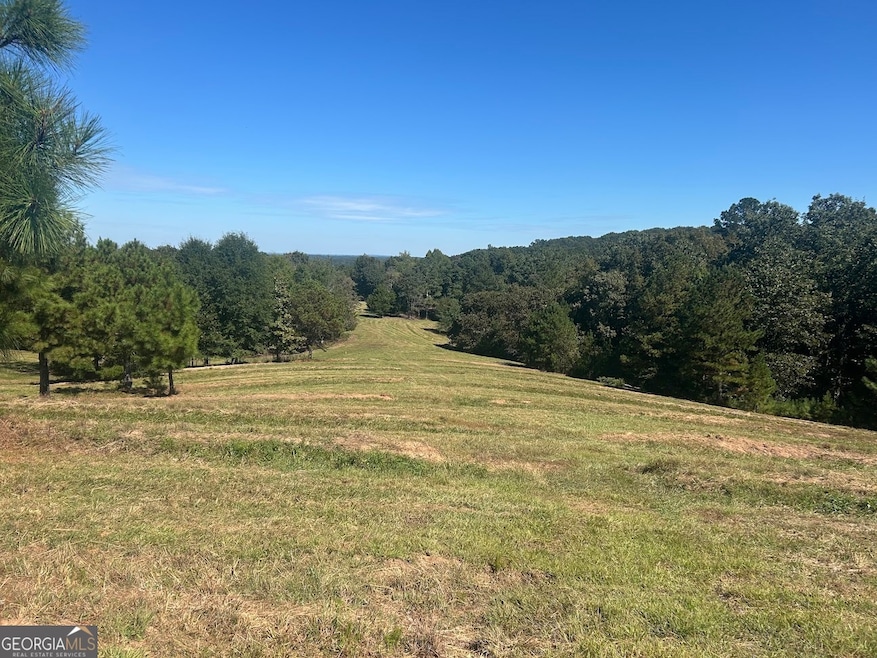 0 New Mexico Rd unit TRACT 1 (7.47 ACRES), Bowdon, GA 30108 - photo 1