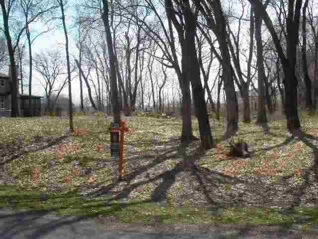 Lot 12 Stone Pass, Oregon, WI 53575 - photo 1