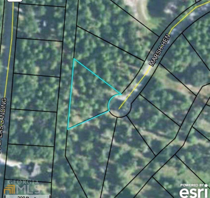 LOT 528 N Marsh Hen Rd NE, Townsend, GA 31331 - photo 1
