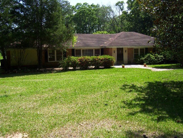 Main View