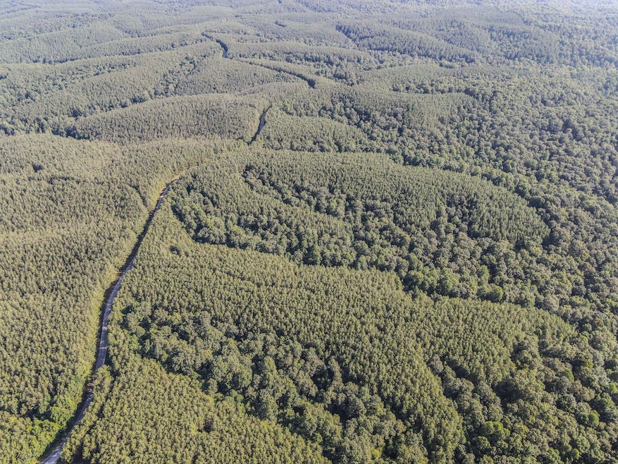 0 Brush Creek Rd unit 40, Hohenwald, TN 38462 - photo 1