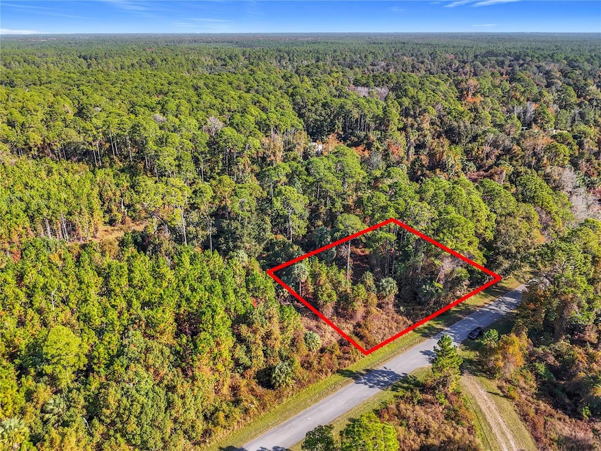 810 Paradise Blvd, Georgetown Cove, FL 32139 - photo 1