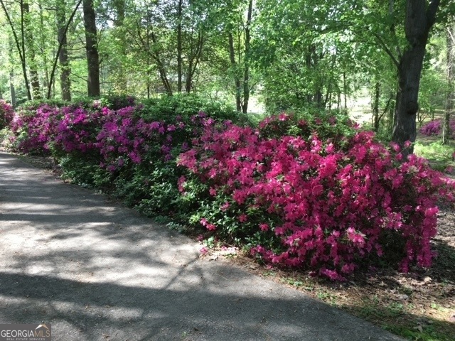 1552 Old Conyers Rd, Stockbridge, GA 30281 - photo 1