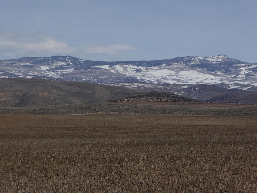 P3175793