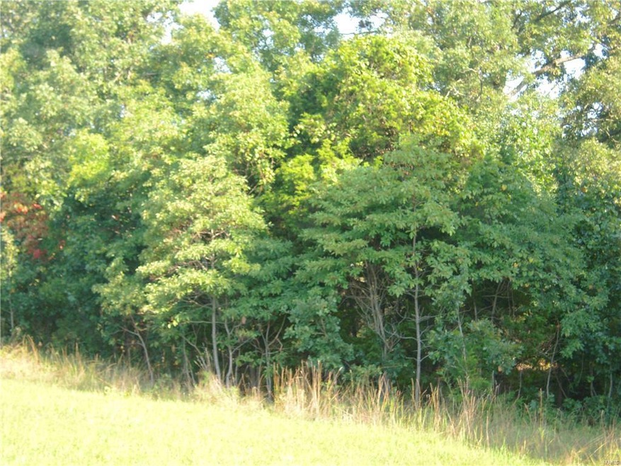 0 State Hwy J unit 14029852, Newburg, MO 65550 - photo 1