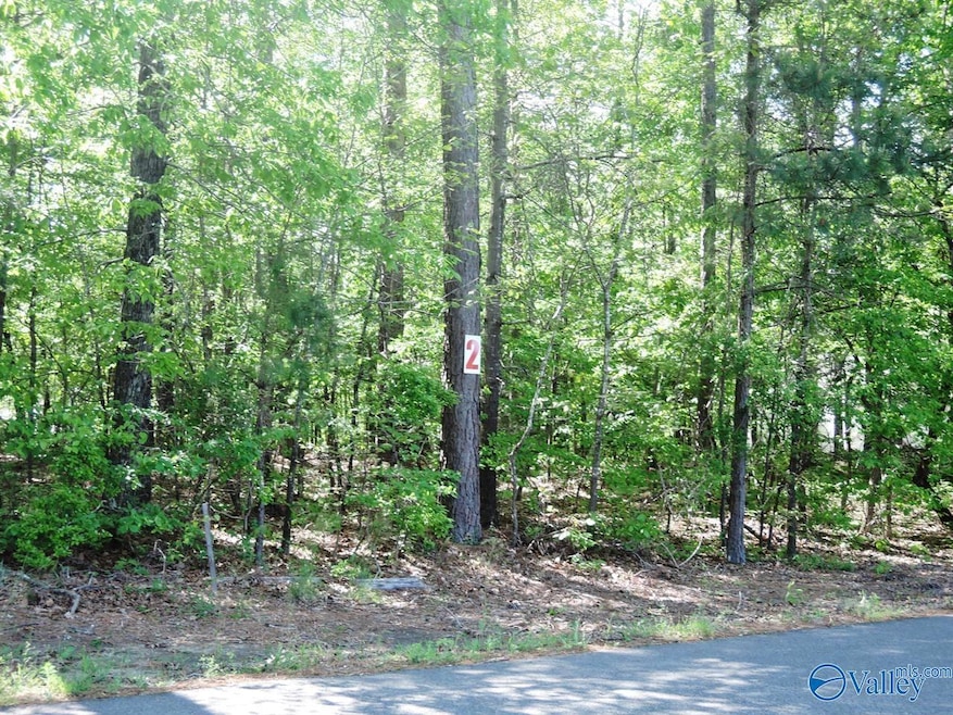 Lot 2 Arrowhead Dr, Jasper, AL 35504 - photo 1