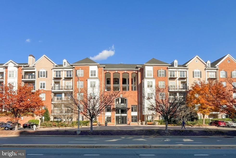 The Fitz at Rockville Town Center, Rockville, MD 20850 - photo 1