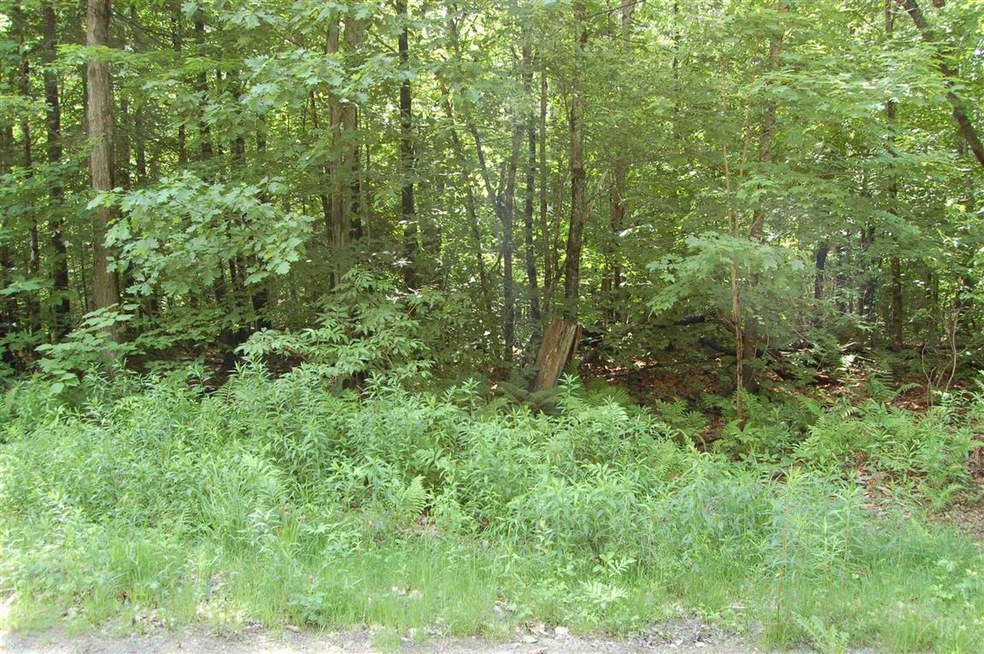 0 Stark Rd unit 4855768, Lempster, NH 03605 - photo 1