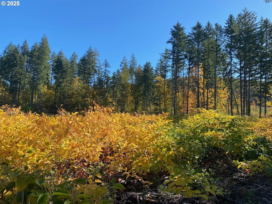 0 S Hult Rd, Beavercreek, OR 97004 - photo 1