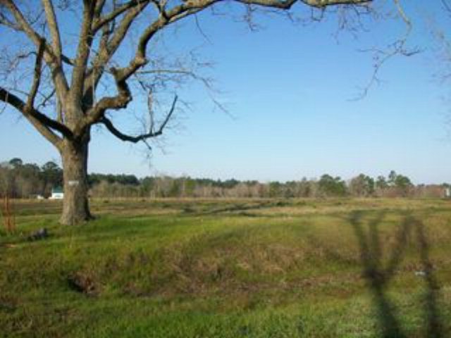 2 Rocky Ford Rd, Coolidge, GA 31738 - photo 1