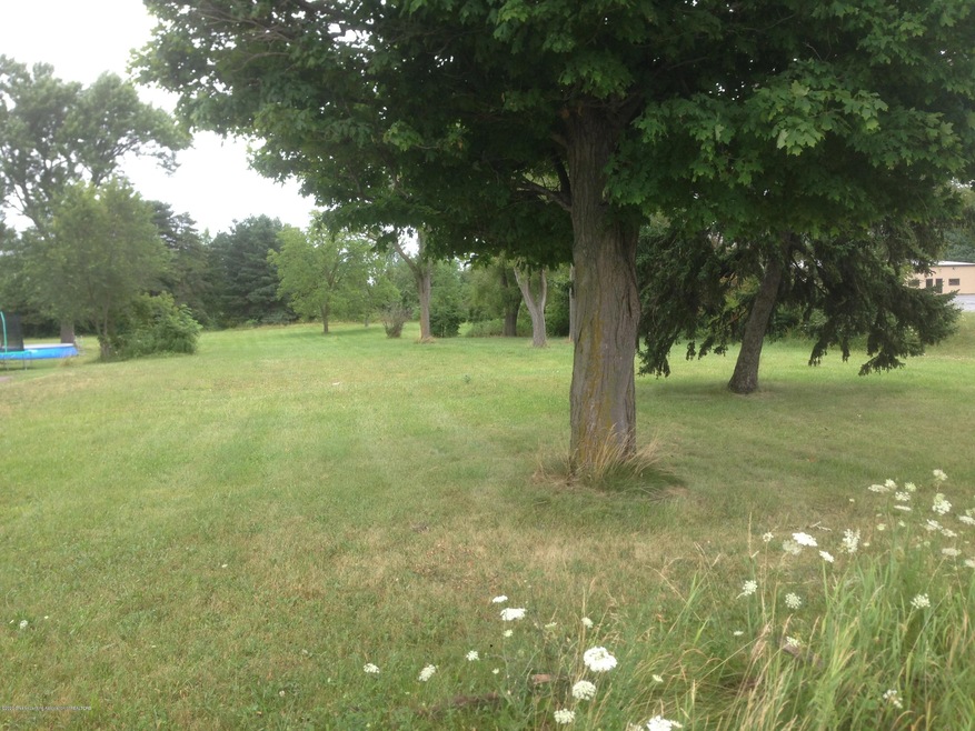 1723 E M 21, Owosso, MI 48867 - photo 1