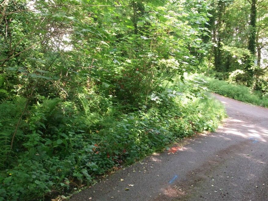 47 W Mercer Way, Mercer Island, WA 98040 - photo 1