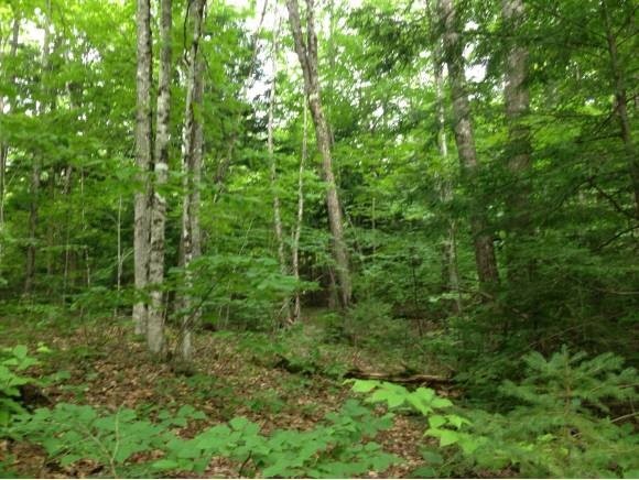 0 Jewett Brook Rd unit 4245635, Barnet, VT 05042 - photo 1