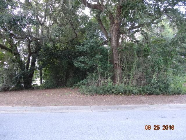 DSC03393