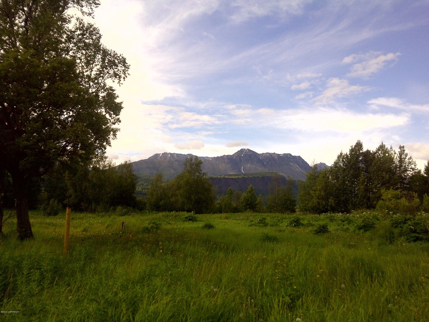 19315 Jessica Ann St, Sutton-Alpine, AK 99674 - photo 1