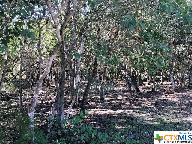 1213 Burleson St, San Marcos, TX 78666 - photo 1