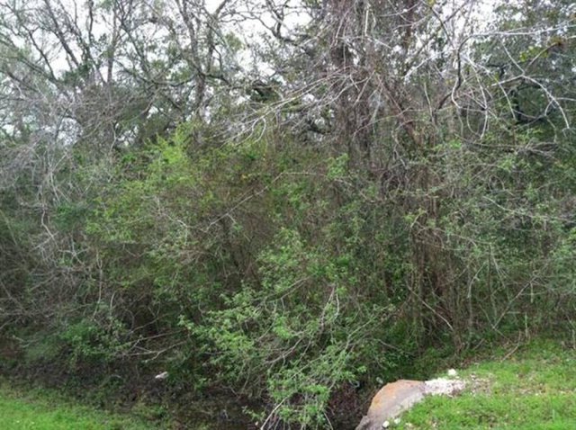 0 Cr 659 unit 51258, Brazoria, TX 77422 - photo 1