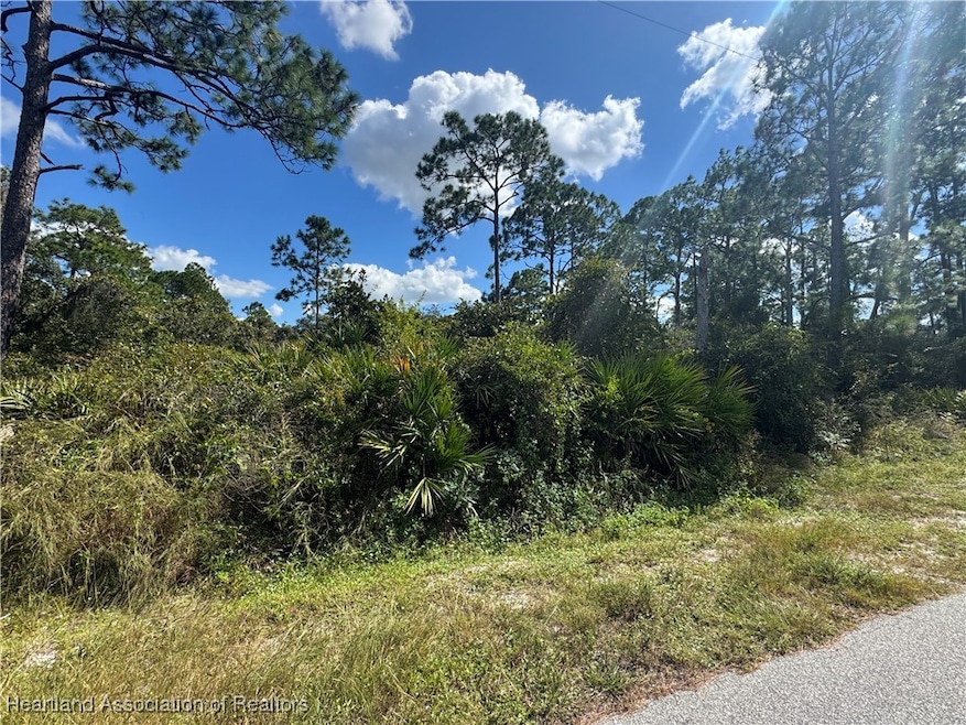 341 Fairfield Ave, Lake Placid, FL 33852 - photo 1