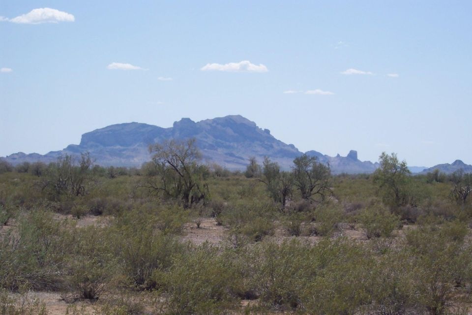 SE View