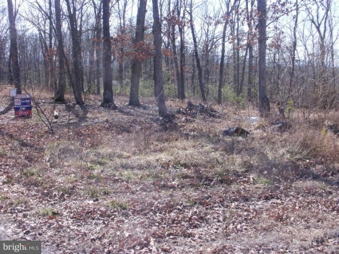 0 Thunderbird unit 1004450102, Front Royal, VA 22630 - photo 1