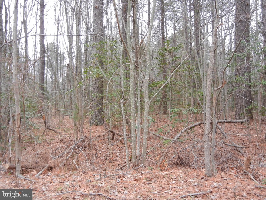 0 Pinewood Ln unit 1000025877, Colonial Beach, VA 22443 - photo 1