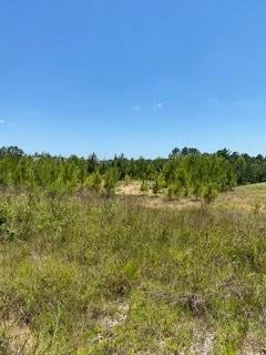 8 Stanley Rd unit Lot 8, Leesville, LA 71446 - photo 1